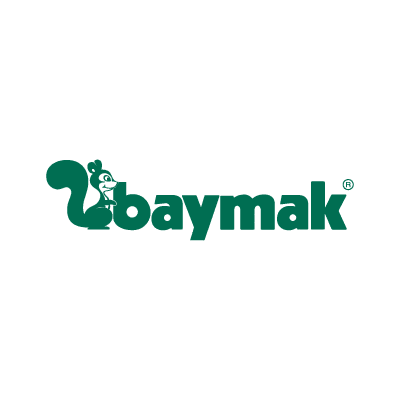 Baymak kombi montajı ve değişimi